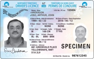 I Lost My Driver S License Now What PM Press   Drivers Licence Image 600x379 300x189 